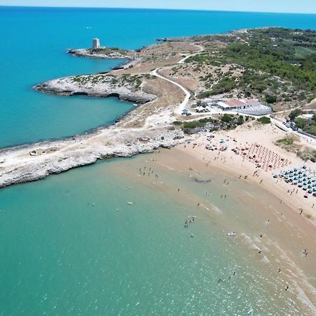 Villaggio Turistico Scialmarino ヴィエステ エクステリア 写真