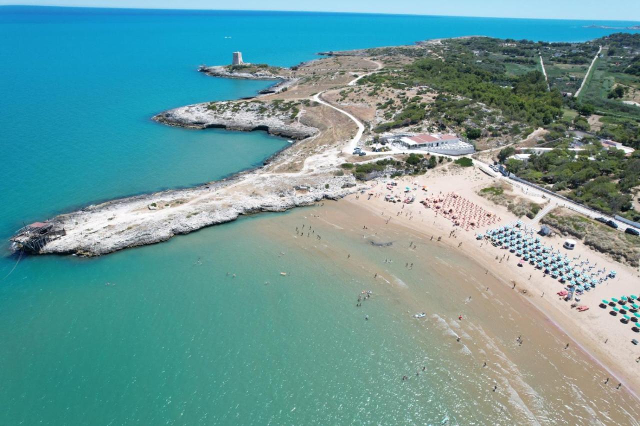 Villaggio Turistico Scialmarino ヴィエステ エクステリア 写真