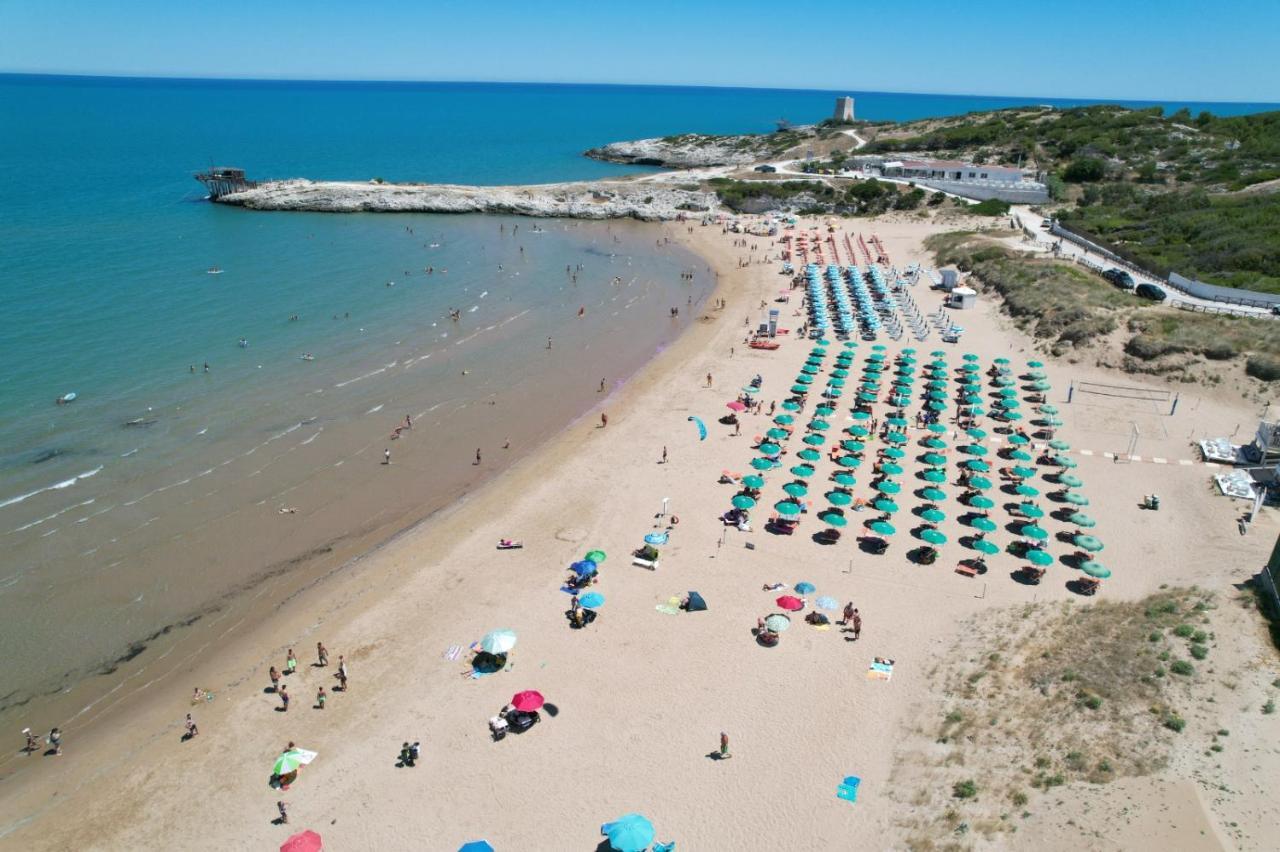 Villaggio Turistico Scialmarino ヴィエステ エクステリア 写真